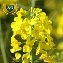 Рапс озимый ЕС Алонсо Рапс озимый ЕС Алонсо