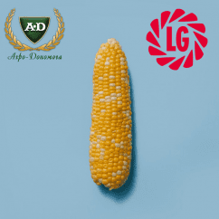 Семена кукурузы Лимагрейн (Limagrain) Семена кукурузы Лимагрейн (Limagrain)