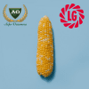 Семена кукурузы Лимагрейн (Limagrain)