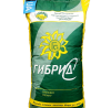 Рапс озимый Черный Великан