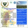 Семена подсолнечника НС Х 7917 под гранстар